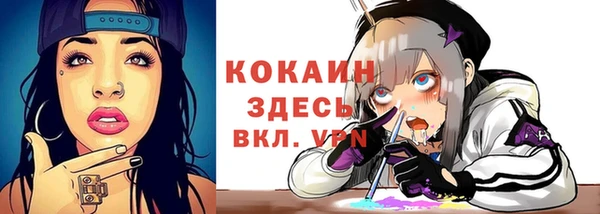 молекула духа Алексин
