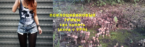 Альфа ПВП Алексеевка