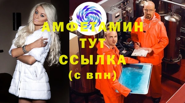 молекула духа Алексин