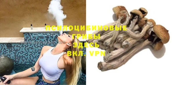 МДПВ Алзамай
