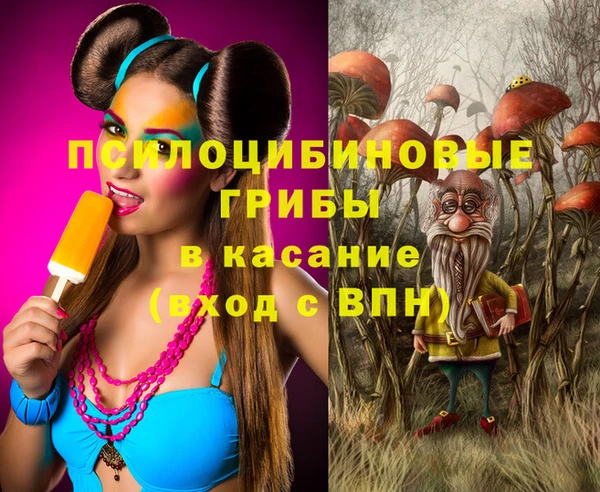 МДПВ Алзамай