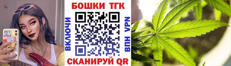цена   Шуя  Бошки Шишки OG Kush 